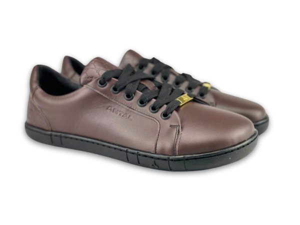 Antal Barefoot sneakers Amada Brown - Image 3