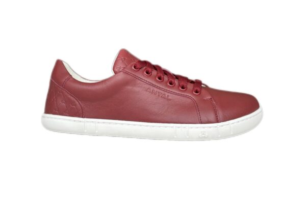 Antal Barefoot sneakers Amada Red