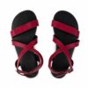 ahinsa hava bordo barefoot shoes