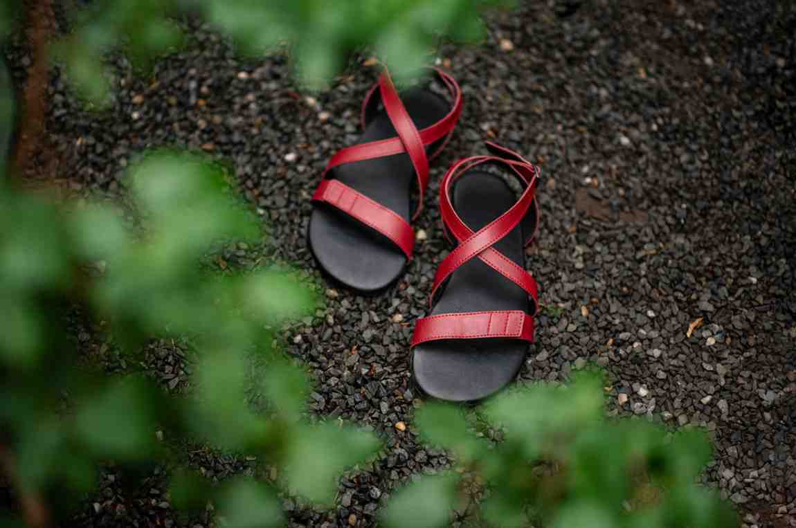 ahinsa hava bordo barefoot shoes